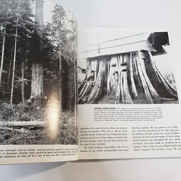 1984 This Was Logging Illustrated PB Book Ralph Andrews Historical Photographs - Picture 8 of 10